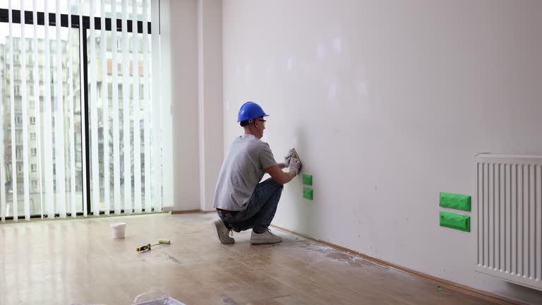 Best Industrial Mold Remediation  in Evansville, WI