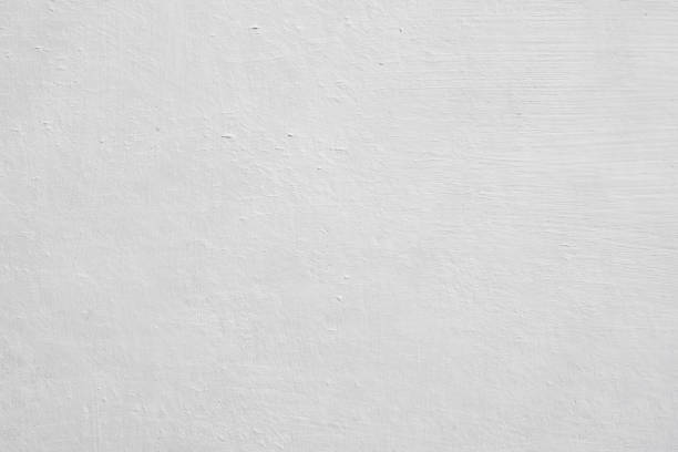 Best Forensic Mold Investigation  in Evansville, WI