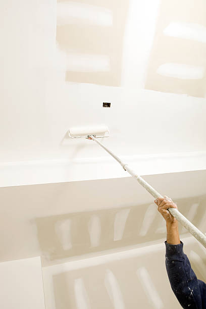 Best Environmental Consulting for Mold Prevention  in Evansville, WI