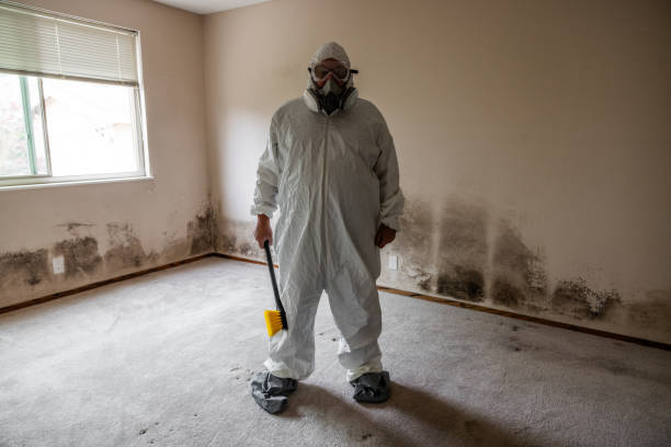 Best HVAC Mold Inspection and Cleaning  in Evansville, WI