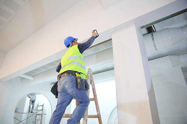 Best Environmental Consulting for Mold Prevention  in Evansville, WI