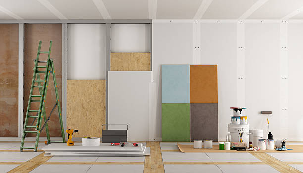 Best Mold Odor Removal Services  in Evansville, WI