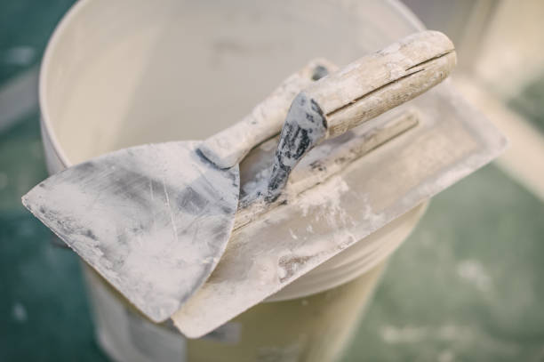 Best Asbestos and Lead Testing During Mold Inspection  in Evansville, WI