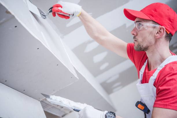 Evansville, WI Mold Removal Company